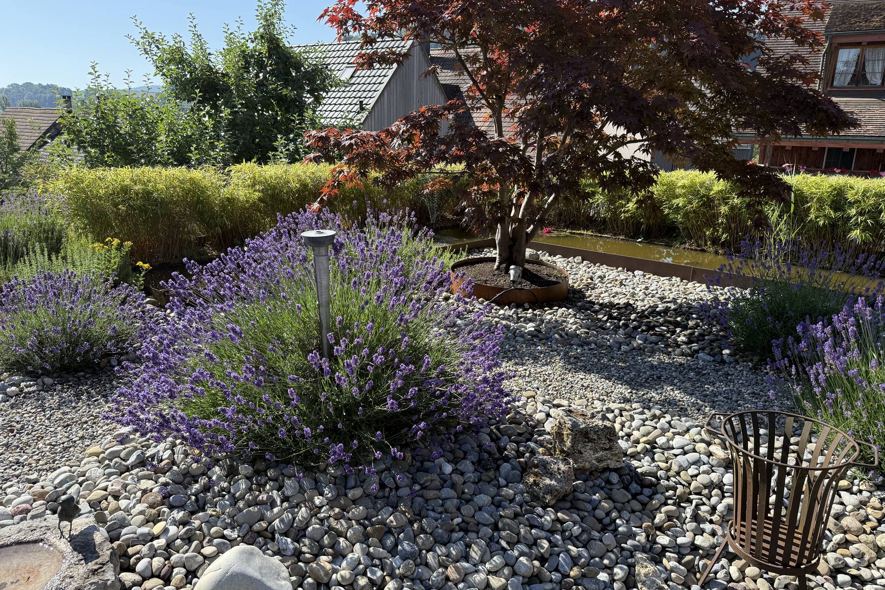 Lavendel verzaubert jeden Garten