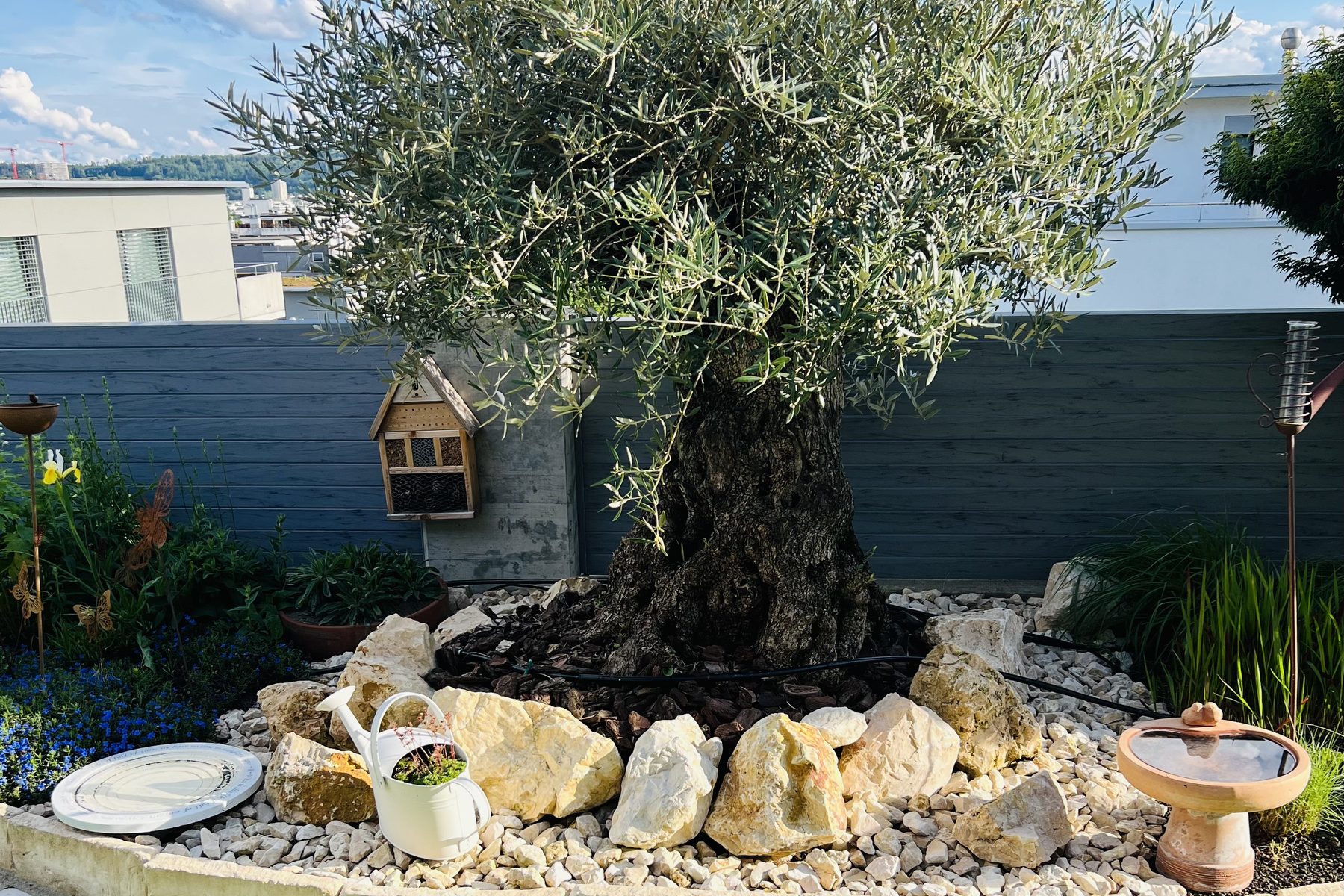 Mediterrane Akzente setzen