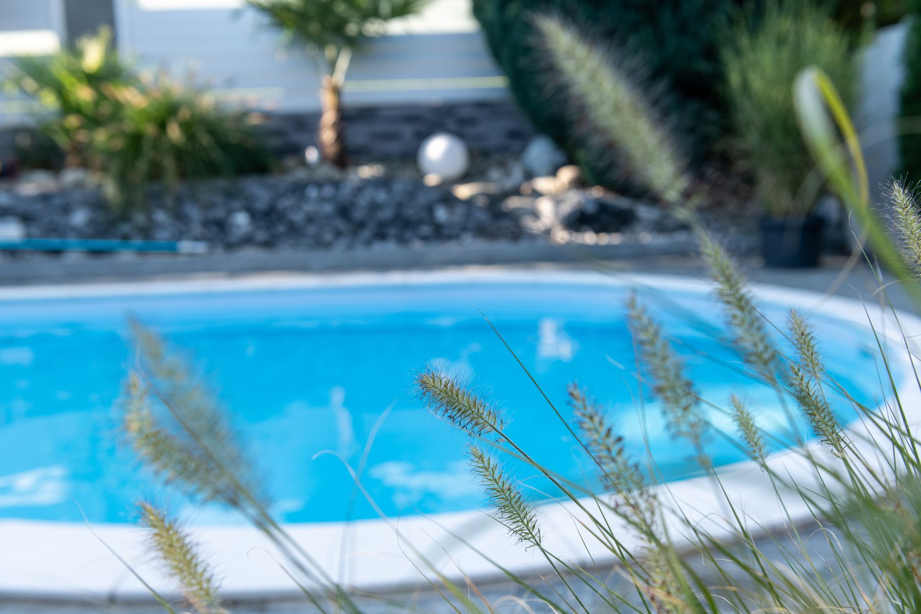 Pooldetail zwischen Gräsern